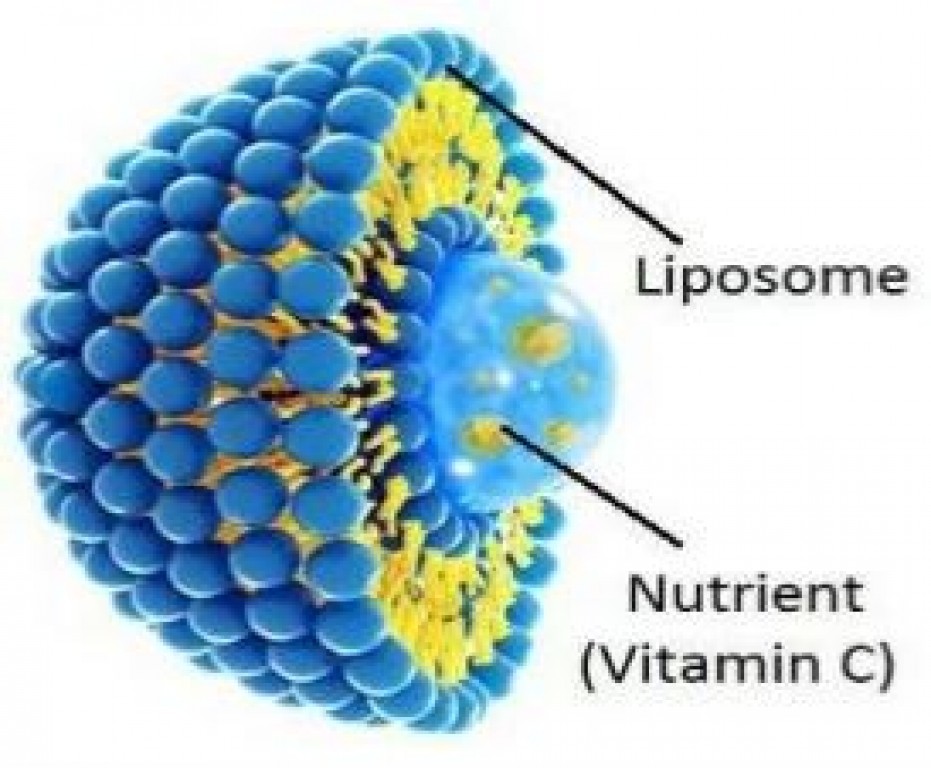 Lipozomálne minerály a vitamíny