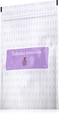 TRIBULUS TERRESTRIS čaj - neplodnosť, afrodiziakum