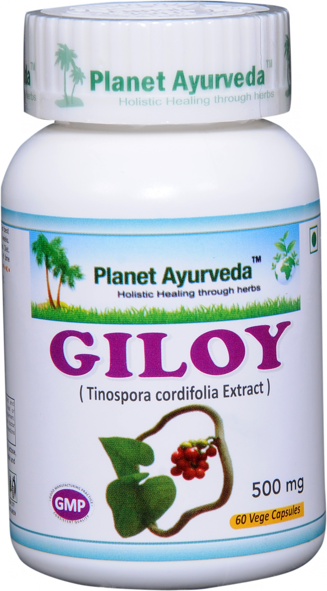 GILOY (Guduči) - podpora imunity, účinný antioxidant