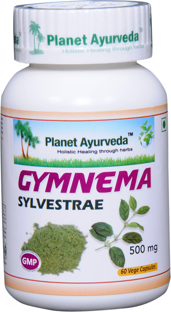 GYMNEMA SYLVESTRAE (Gurmar) - normálna hladina cukru v krvi