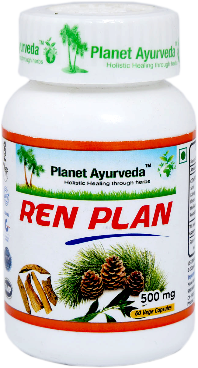 REN PLAN 500mg - ochorenia obličiek, močové a obličkové kamene
