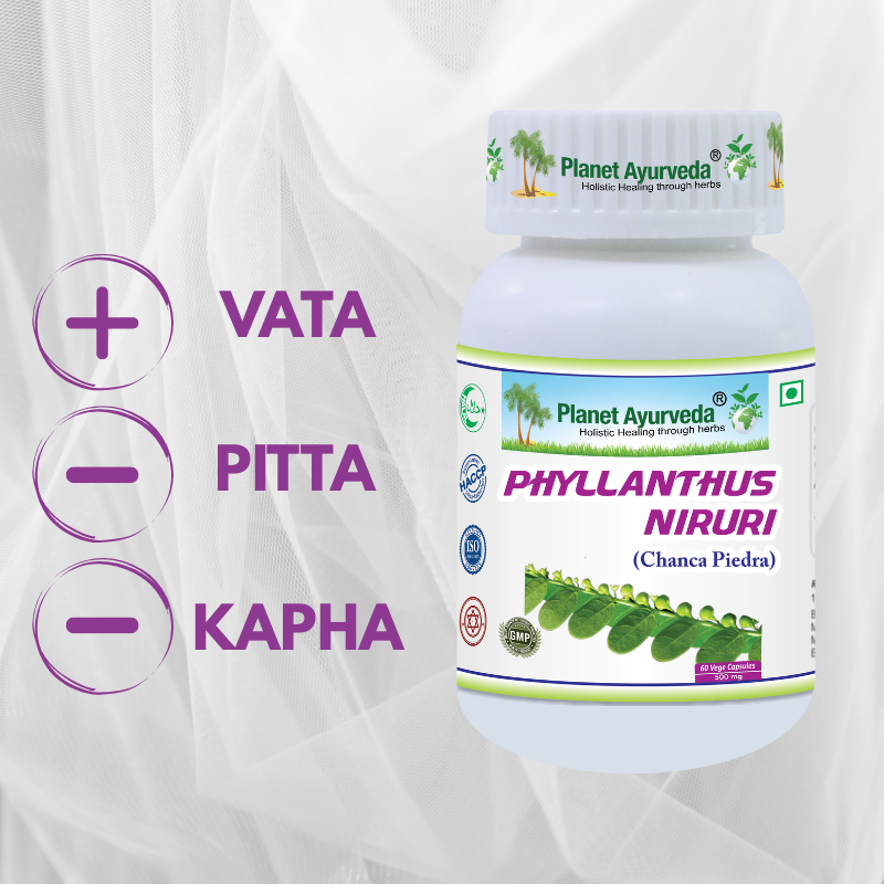 Chanca Piedra (Phyllanthus Niruri) - pečeň a obličky, vírusy