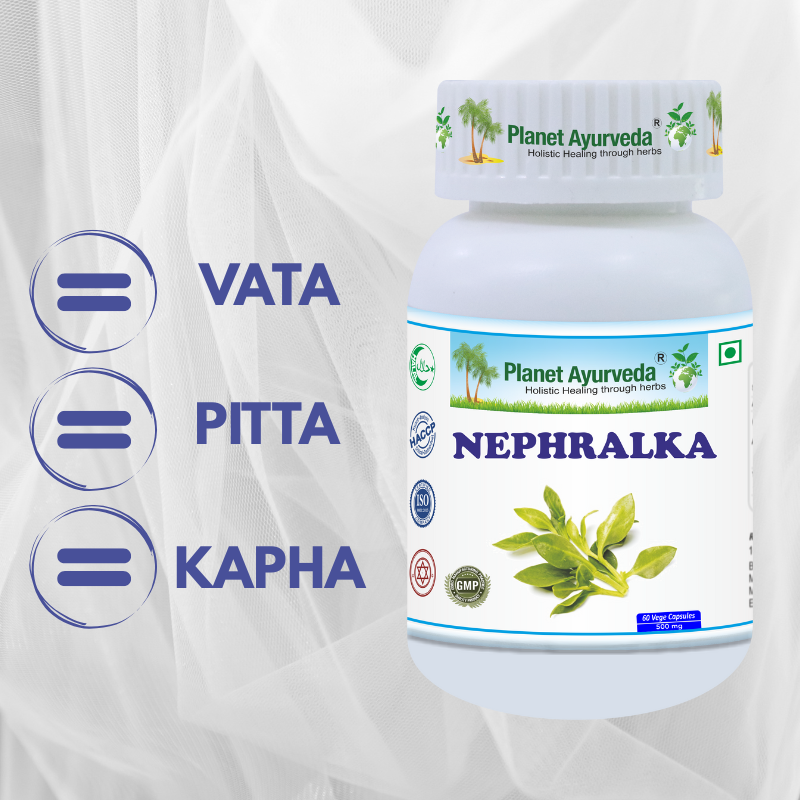 Nephralka - zdravé obličky a močový systém