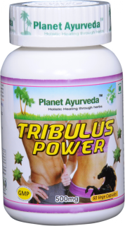 TRIBULUS POWER  Planet Ayurveda - silný extrakt 500 mg